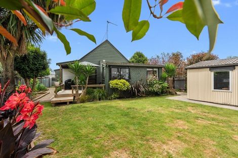 Photo of property in 59a Insoll Avenue, Enderley, Hamilton, 3214