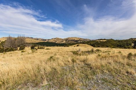 Photo of property in 253 Mount Lyford Forest Drive, Lyford, Waiau, 7395