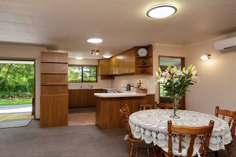 Photo of property in 62 Manuherikia Road, Alexandra, 9320