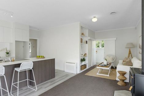 Photo of property in 103 Petrie Street, Richmond, Christchurch, 8013