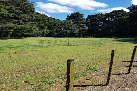 Photo of property in 288 Waiuku Road, Puni, Pukekohe, 2678