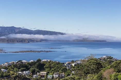 Photo of property in 33 Buckley Road, Southgate, Wellington, 6023