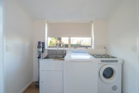 Photo of property in 103a Clarkin Road, Fairfield, Hamilton, 3214