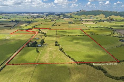 Photo of property in 353 Swamp Road, Springfield, Sheffield, 7580