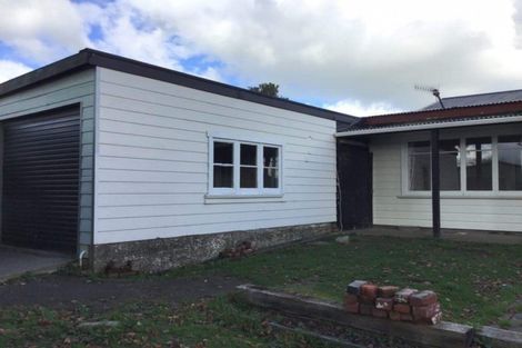 Photo of property in 141 Bath Street, Levin, 5510