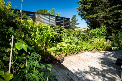 Photo of property in 35 Gaddums Hill Road, Outer Kaiti, Gisborne, 4010
