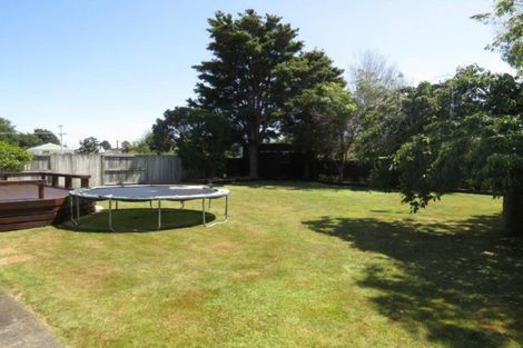 Photo of property in 100 Huxley Street, Pahiatua, 4910