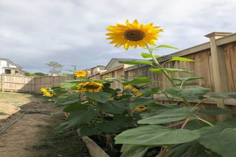 Photo of property in 26 Para Close, Fairview Heights, Auckland, 0632