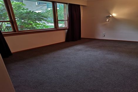 Photo of property in 191 Evans Street, Opoho, Dunedin, 9010