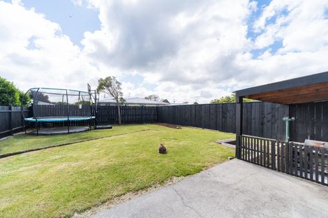 Photo of property in 47a Carter Crescent, Awapuni, Palmerston North, 4412