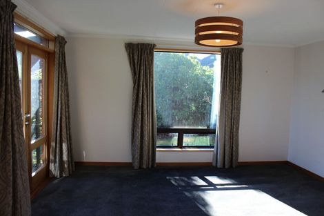 Photo of property in 8 Elliffe Place, Shiel Hill, Dunedin, 9013