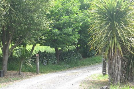 Photo of property in 38 Canon Road, Tanners Point, Katikati, 3170