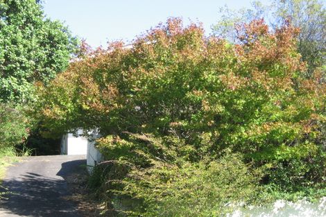 Photo of property in 28 Newhaven Terrace, Mairangi Bay, Auckland, 0630