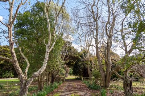 Photo of property in 427 Tinui Valley Road, Tinui Valley, Tinui, 5894