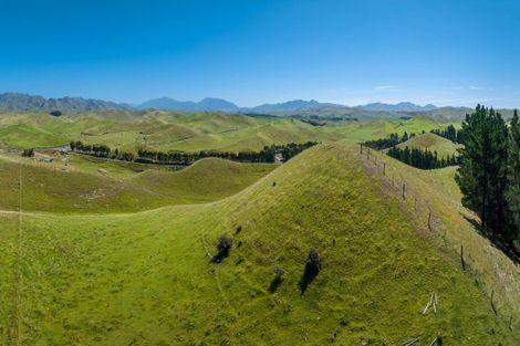 Photo of property in 363 Caseys Road, Lake Grassmere, Seddon, 7285