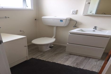 Photo of property in 306 Mansfield Street, Newtown, Wellington, 6021