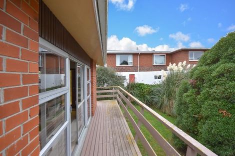 Photo of property in 36 Puketai Street, Andersons Bay, Dunedin, 9013