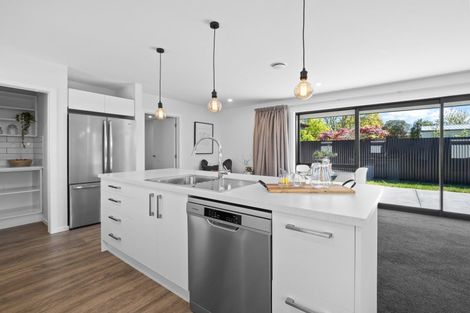 Photo of property in 124a Alford Forest Road, Allenton, Ashburton, 7700