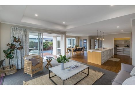 Photo of property in 117 Metehau Street, Marshland, Christchurch, 8083