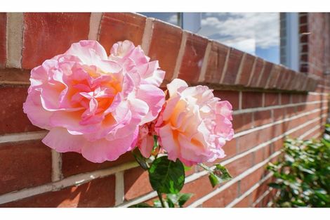 Photo of property in 359 Saint Andrew Street, Glengarry, Invercargill, 9810