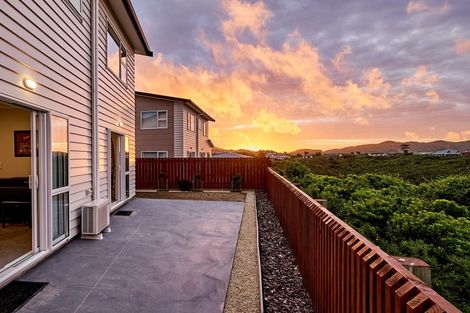 Photo of property in 10 Trelawny Terrace, Grenada Village, Wellington, 6037