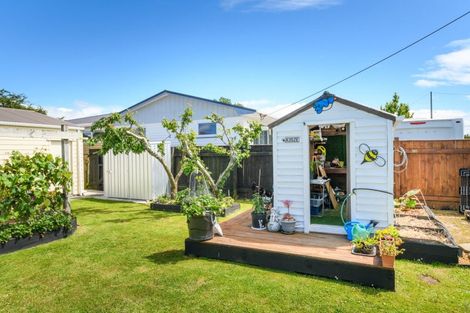 Photo of property in 52 Bamfield Street, Ashhurst, 4810