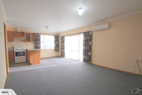 Photo of property in 20b Crombie Street, Gore, 9710