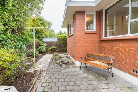 Photo of property in 20 Albert Street, Saint Clair, Dunedin, 9012