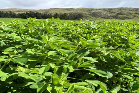 Photo of property in 537 Aubrey Road, Wanaka, 9305