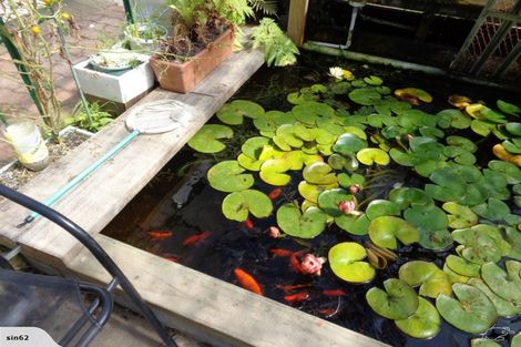 Photo of property in 461b Fergusson Drive, Trentham, Upper Hutt, 5018