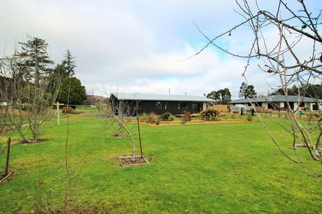 Photo of property in 51 Brough Street, Palmerston, 9430