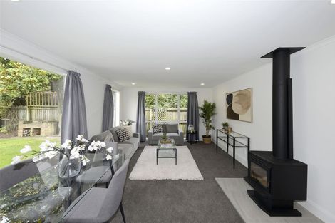 Photo of property in 17 Lionel Street, Avonside, Christchurch, 8061