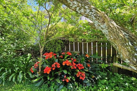 Photo of property in 13 Snell Crescent, Waihi Beach, 3611