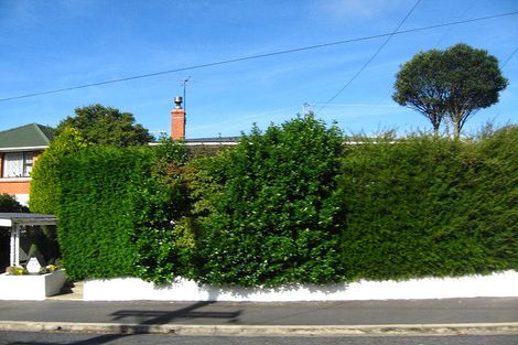 Photo of property in 144 Wakari Road, Helensburgh, Dunedin, 9010