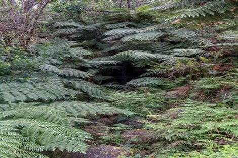 Photo of property in 561c Waingaro Road, Ngaruawahia, 3793