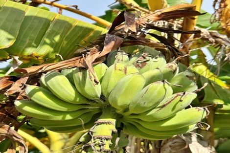 Photo of property in 22 Houhora Heads Road, Pukenui, 0484