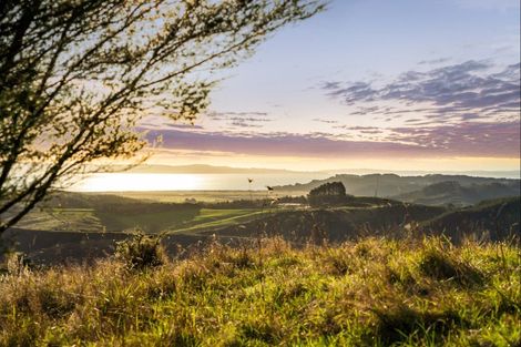 Photo of property in 206 Martin Access Road, Makarau, Warkworth, 0981