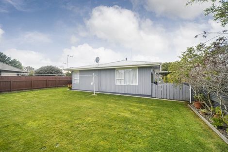 Photo of property in 84a Fitzroy Street, Terrace End, Palmerston North, 4410