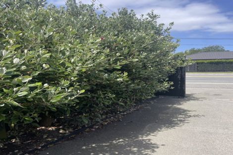 Photo of property in 163 Milton Street, Somerfield, Christchurch, 8024