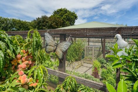 Photo of property in 317 Kimbolton Road, Feilding, 4702