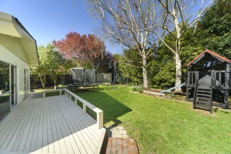 Photo of property in 10 Frimley Street, Awapuni, Palmerston North, 4412