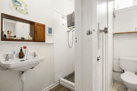 Photo of property in 9 Mortimer Terrace, Aro Valley, Wellington, 6021