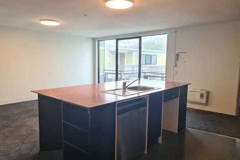 Photo of property in 11/3 King Street, Mount Cook, Wellington, 6021