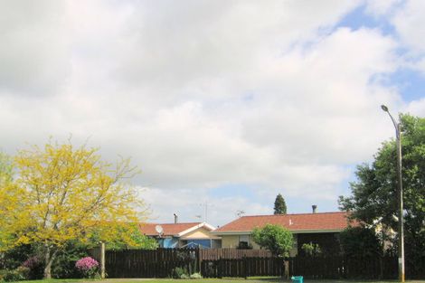 Photo of property in 21 Turnbull Crescent, Morrinsville, 3300