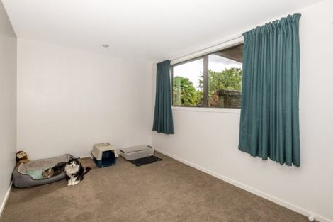 Photo of property in 534 Gladstone Road, Te Hapara, Gisborne, 4010