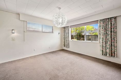 Photo of property in 52c Malfroy Road, Victoria, Rotorua, 3010