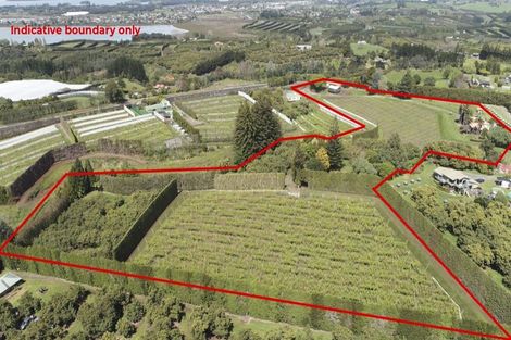 Photo of property in 6a Woodland Road, Tahawai, Katikati, 3170