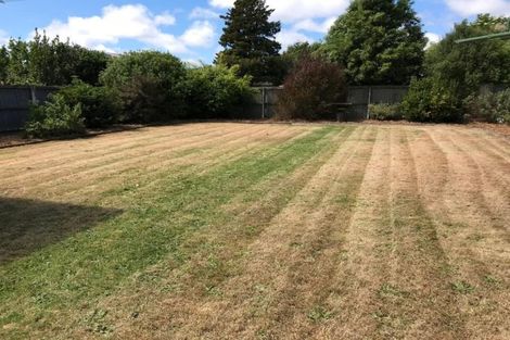 Photo of property in 22 Maple Street, Bishopdale, Christchurch, 8053