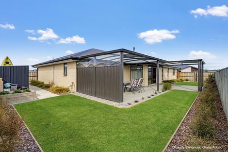 Photo of property in 3 Coleman Lane, Amberley, 7410