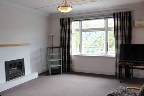 Photo of property in 113 Signal Hill Road, Opoho, Dunedin, 9010